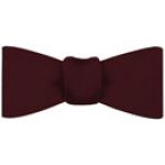 ファイユシルクの蝶ネクタイ