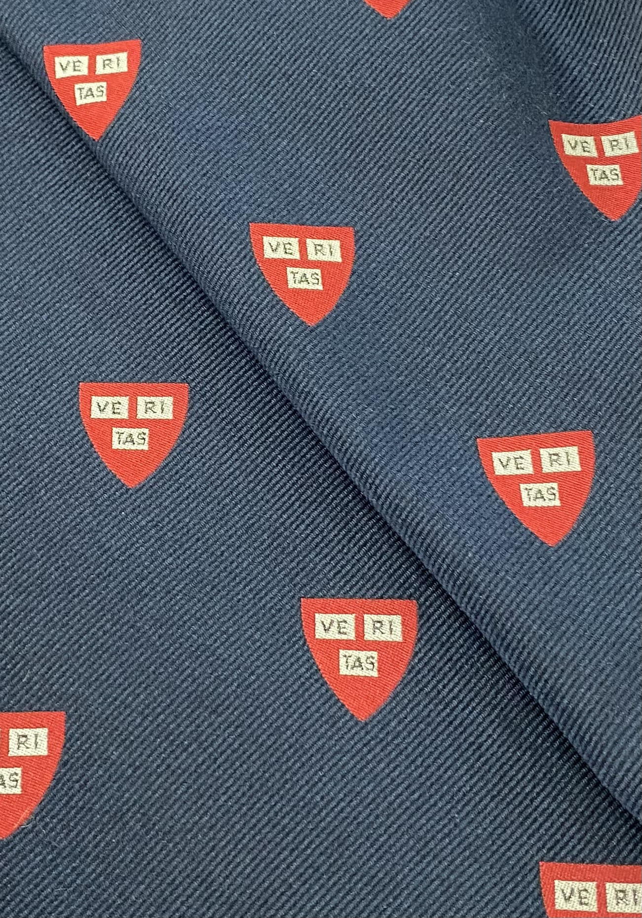 Sam Hober January 2025 Newsletter - Our Roadmap for the year ahead