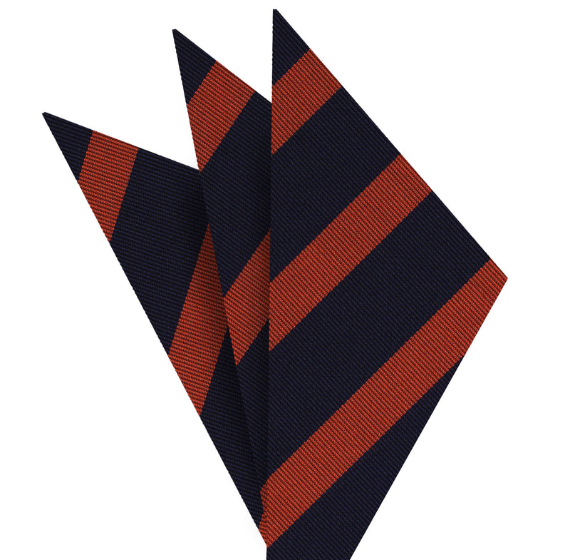 American College/University 실크 포켓 스퀘어