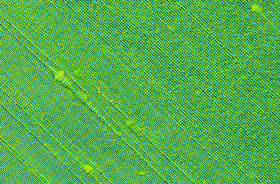 {[en]:Lime Green Thai Rough Silk Pocket Square