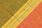 {[en]:Corn Yellow Stripe on Salmon and Dark Yellow With a Thin Metallic Silver Stripe Thai Rough Silk Pocket Square