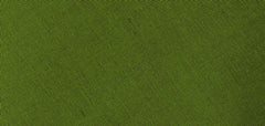 {[en]:Young Leaf Green Thai Shot Silk Tie
