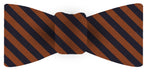 {[en]:University of Florida Silk Bow Tie