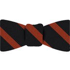 {[en]:Princeton University Stripe Silk Bowtie