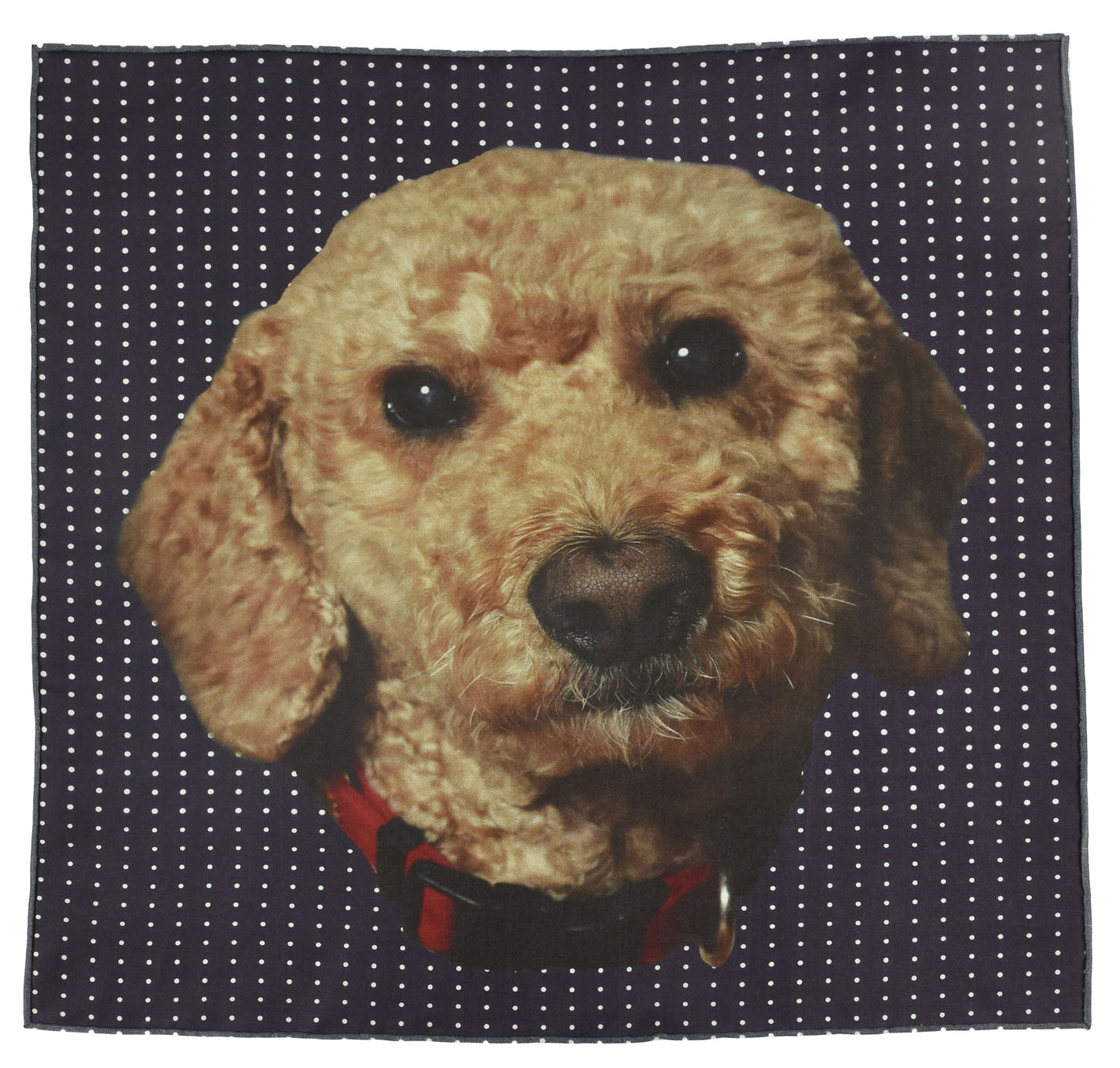 Charlie Labradoodle Pocket Square