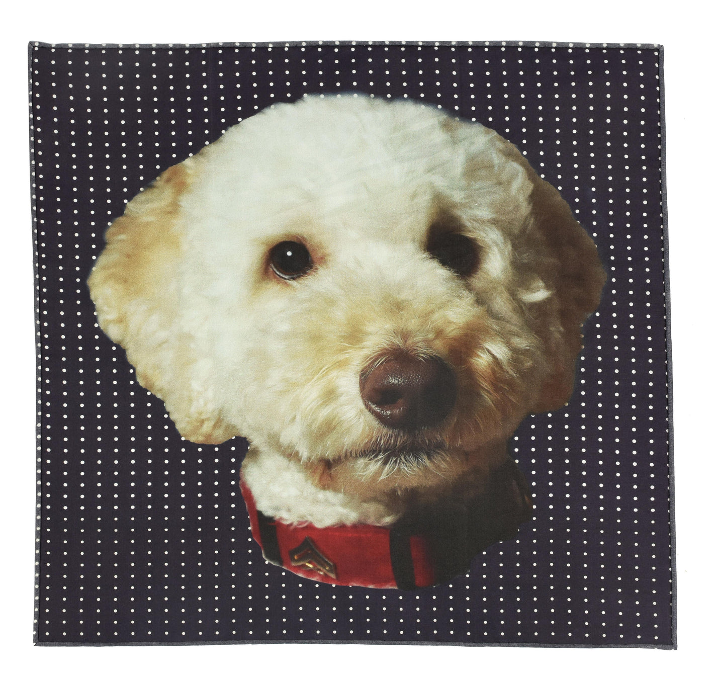 Max Labradoodle Pocket Square