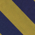 {[en]:University of Delaware Silk Pocket Square