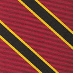 {[en]:University Of Southern California Pocket Square