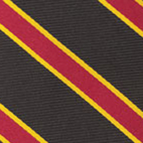 {[en]:University Of Southern California Pocket Square