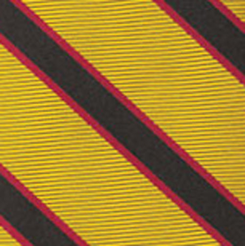 {[en]:University Of Southern California Tie