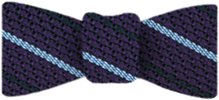 {[en]:Sky Blue And Midnight Blue On Purple Grenadine Grossa Stripe Silk Bow Tie