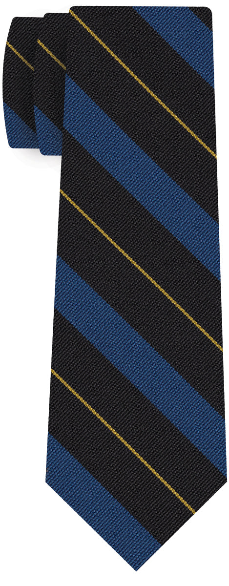 {[en]:Taunton Schools - Old Boys Silk Tie
