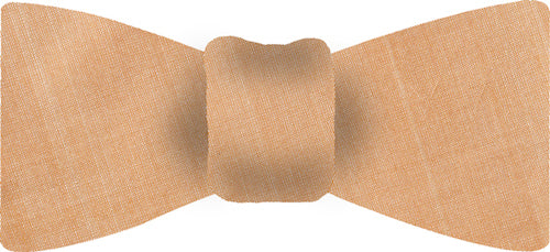 {[en]:Cream Thai Shot Silk Bow Tie