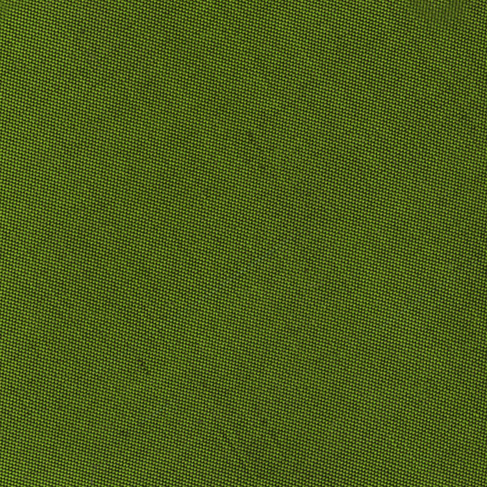 {[en]:Young Leaf Green Thai Shot Silk Tie