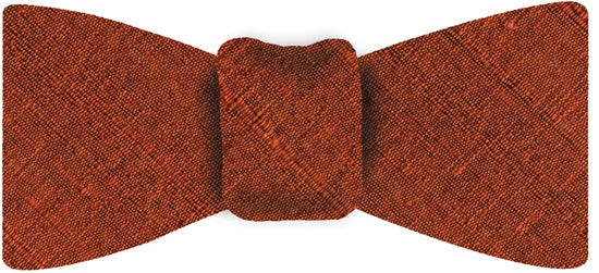 {[en]:Burnt/Orange Thai Rough Silk Bow Tie